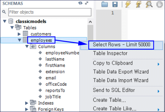 MySQL-SELECT-on-WorkBench-5